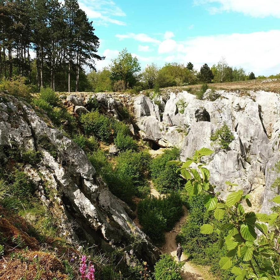 Verblijfpark Ardinam Olloy-sur-Viroin Extérieur photo